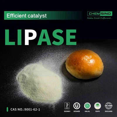 L'arme secrète de votre intestin : profitez de l'avantage de l'enzyme lipase. N° CAS : 9001-62-1