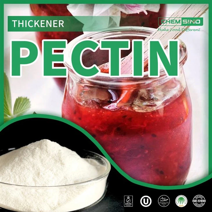 Premium Citrus E440 Pectin pour la boulangerie et les produits laitiers