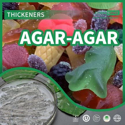 Agar de haute pureté Agar CAS 9002-18-0 Fournisseur