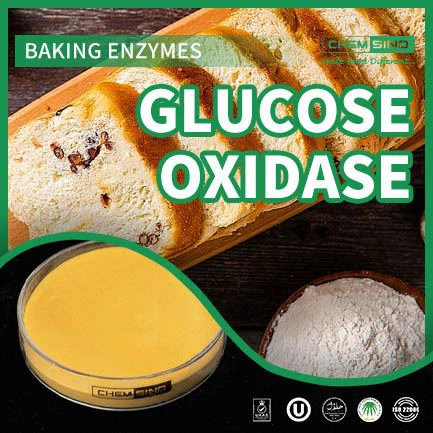 La Glucose Oxidase de Chine Transformez vos recettes ! N° CAS : 9001-37-5