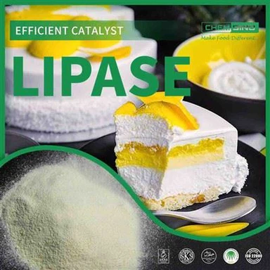 Aimez votre intestin : l'enzyme lipase augmente l'efficacité digestive. N° CAS : 9001-62-1