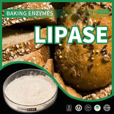 Maximisez votre énergie : l'enzyme lipase libère la puissance des nutriments N° CAS : 9001-62-1