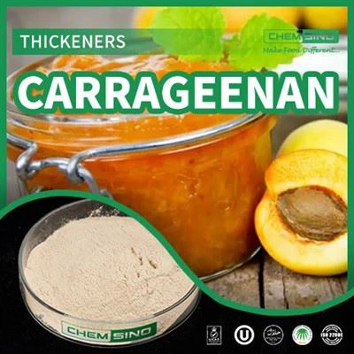 Gomme de carraghénane épaississant dans le lait E407 CAS :9000-07-1