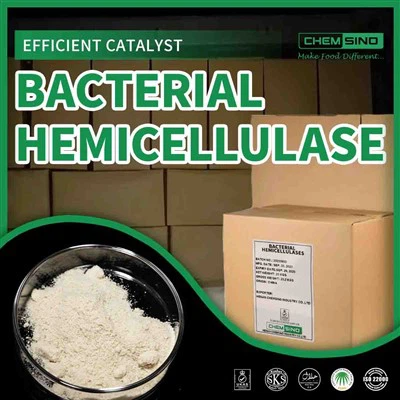 Fournisseur d'hémicellulase fiable offrant des solutions enzymatiques en vrac